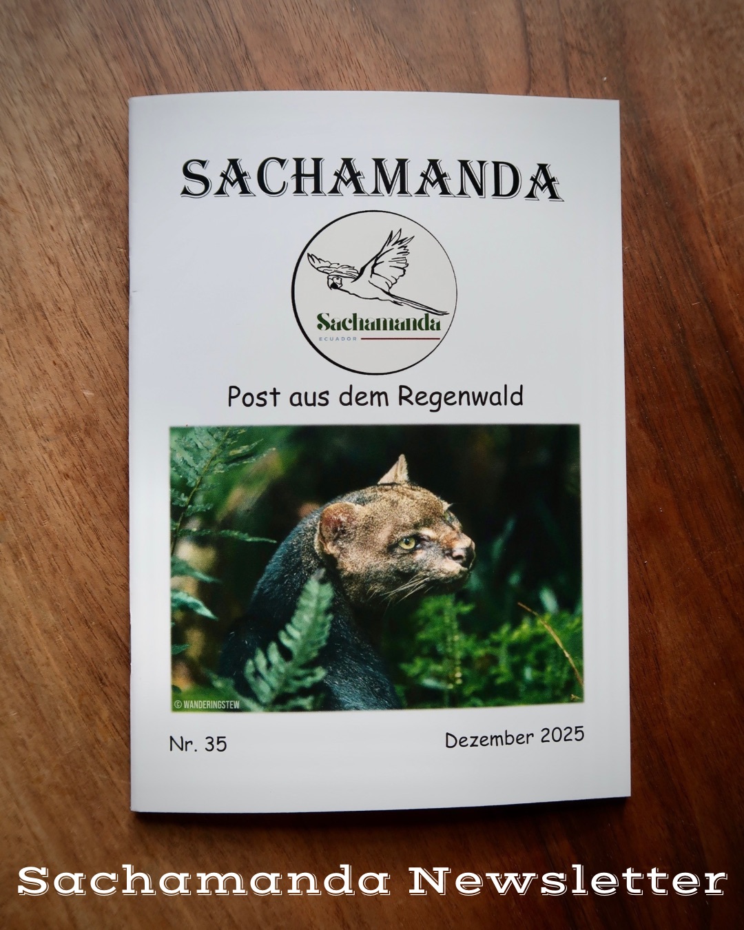 Lee más sobre el artículo Nueva edición de Sachamanda